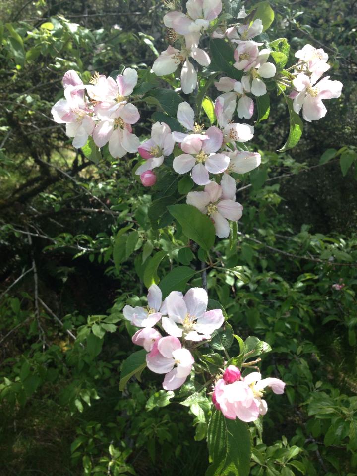 Day 10: Into the silence