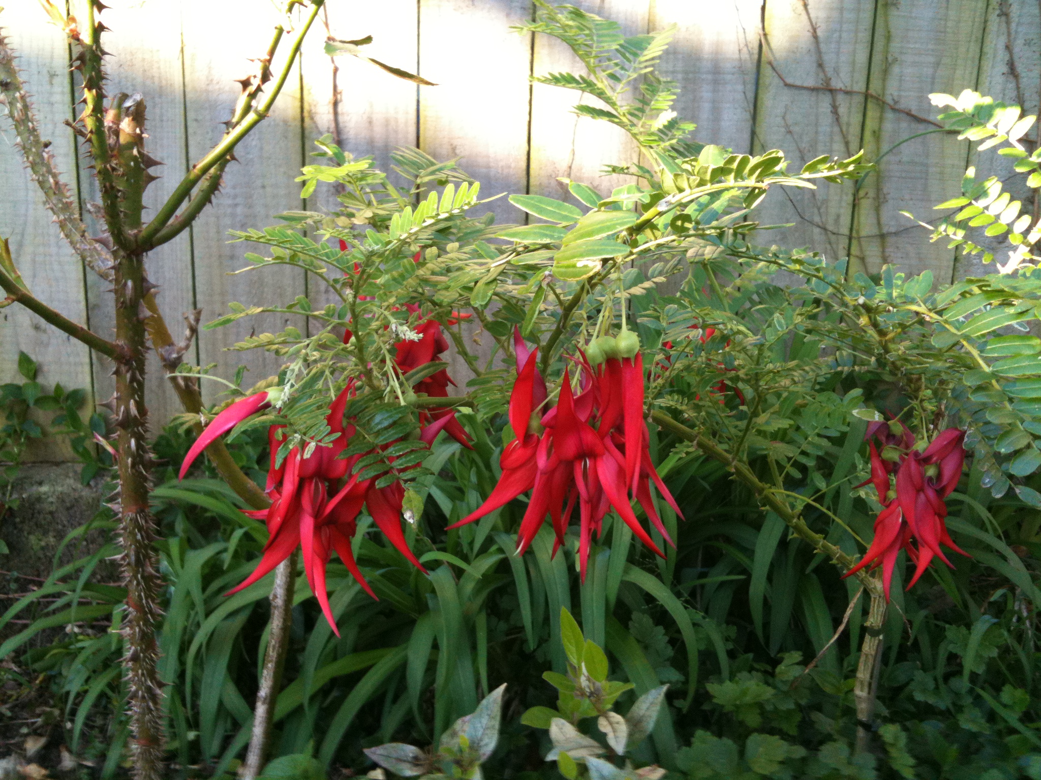 Day 5: Forever Monday morning