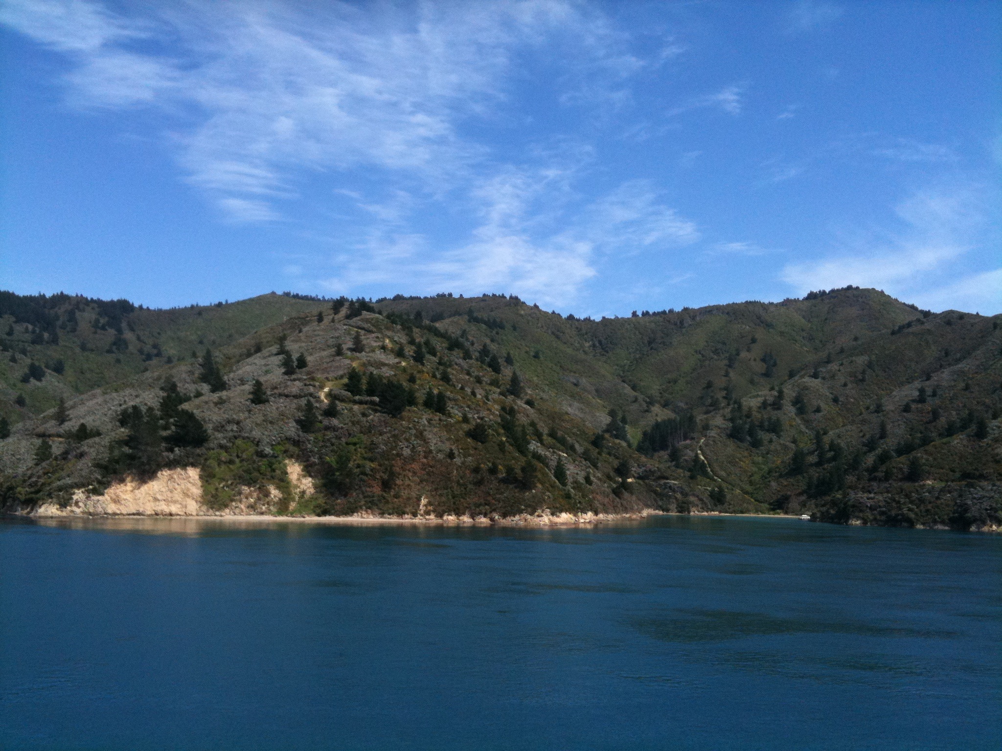 Day 12: Other peoples words