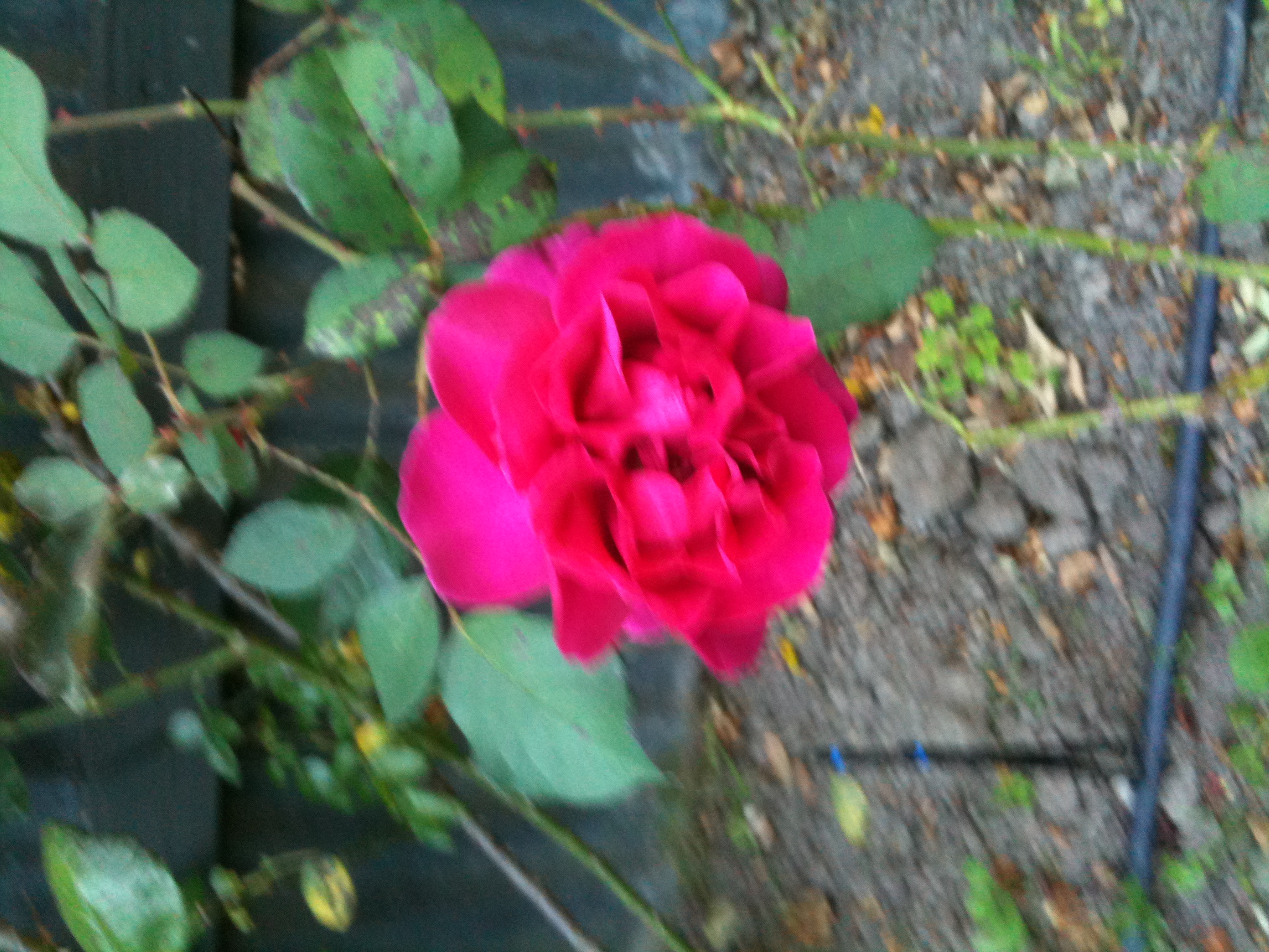 Day 11: Maybe its time