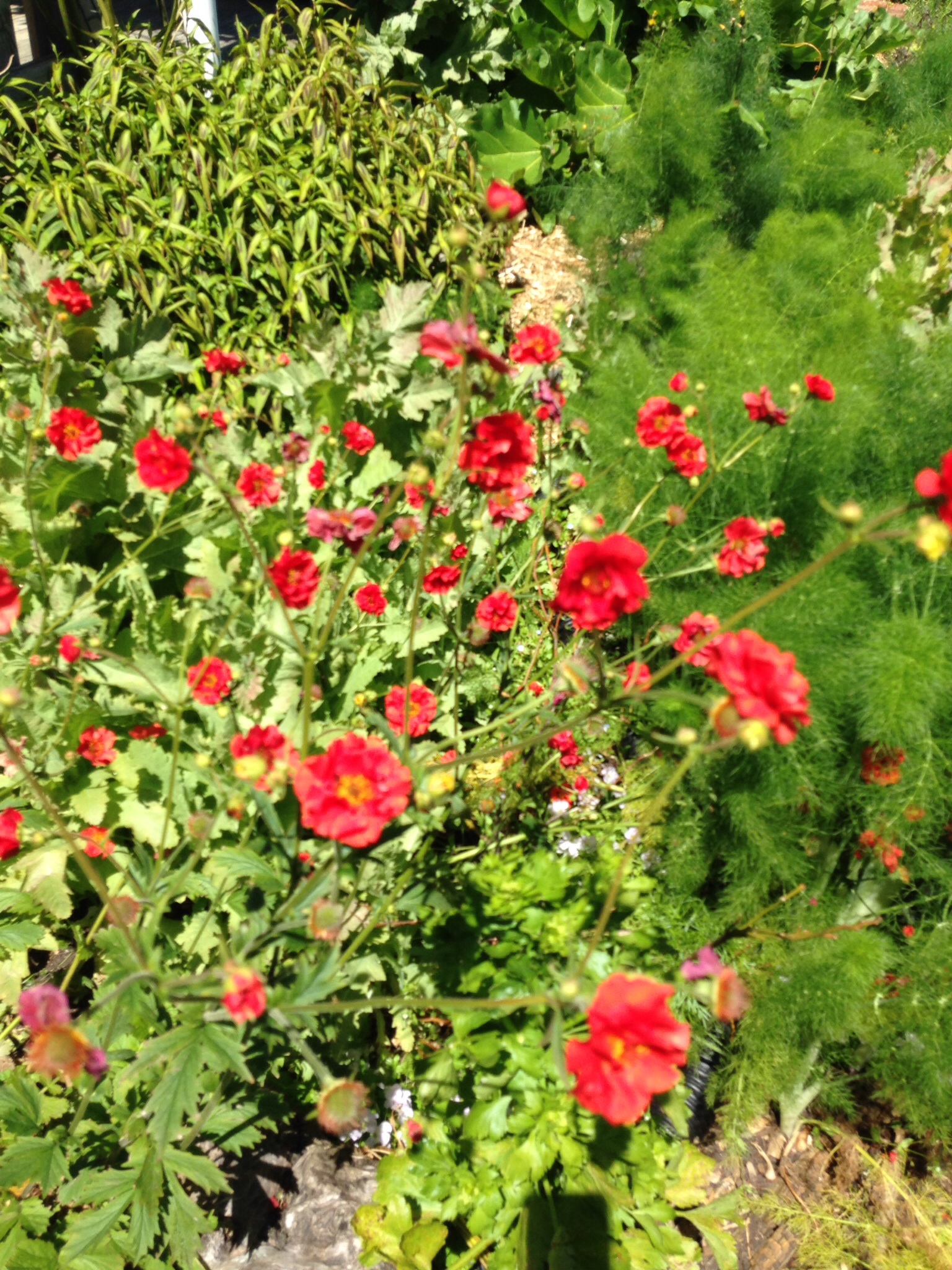 Day 2: Should and Must