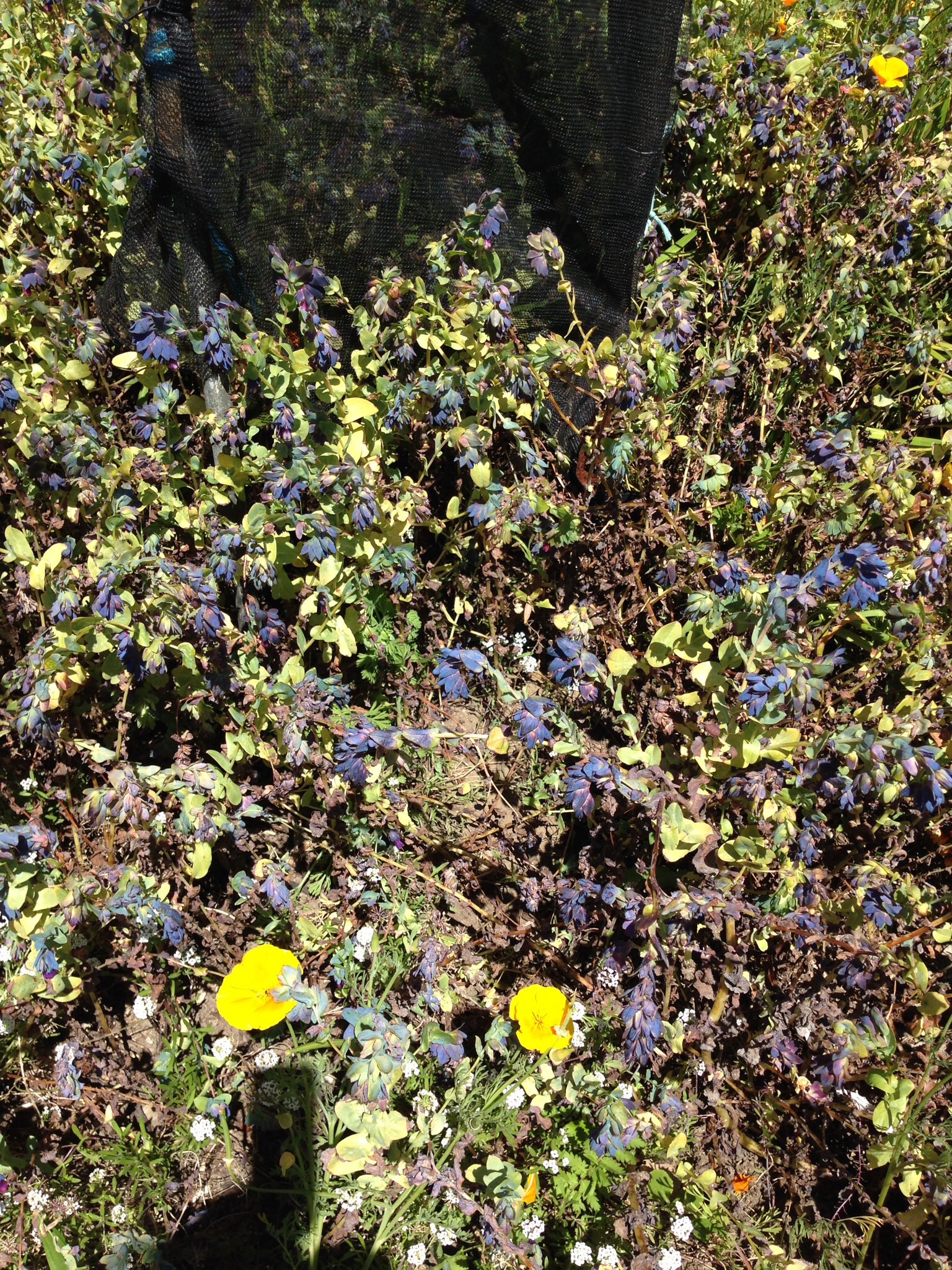 Day 3: The negative view